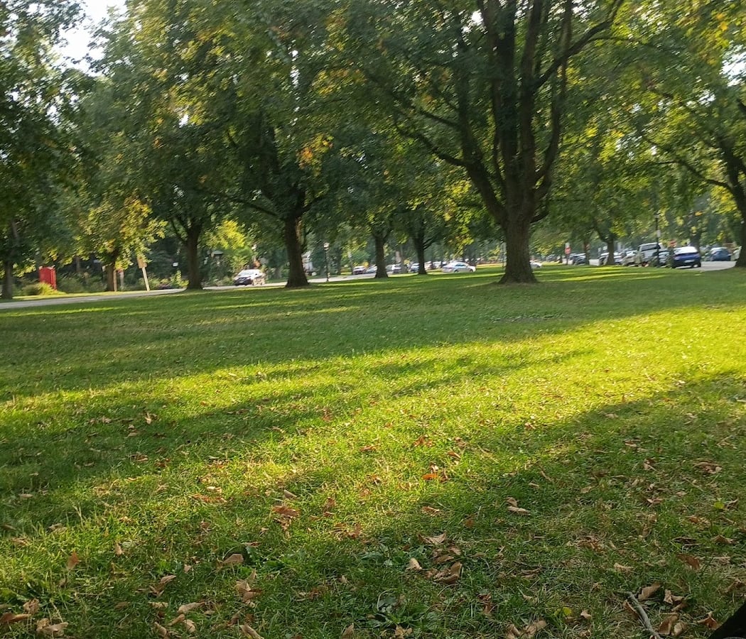 Bidwell park 1